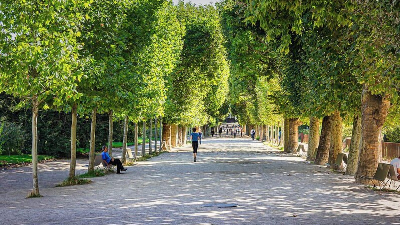 Photo of Outdoor in Jardin des plantes