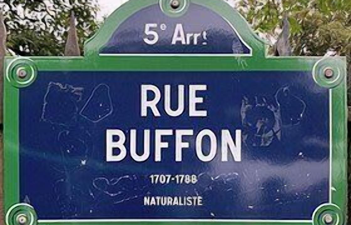 Photo of Others in Jardin des plantes