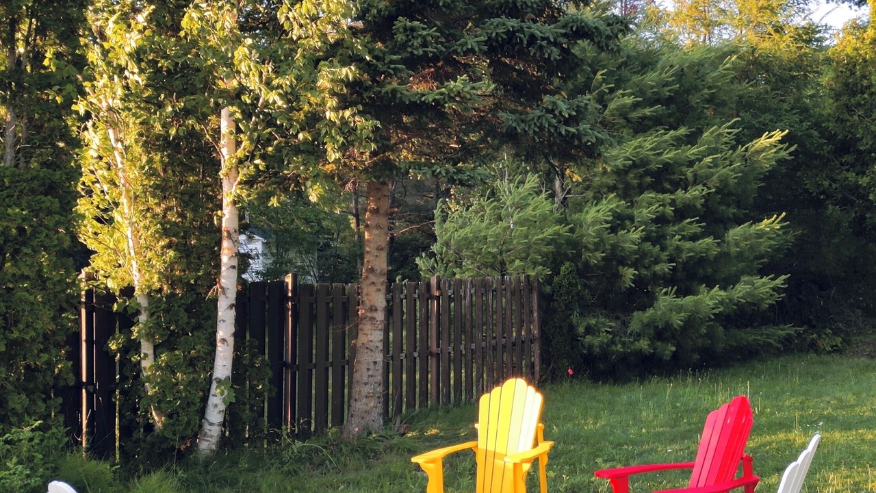 Photo of Outdoor in Utterson