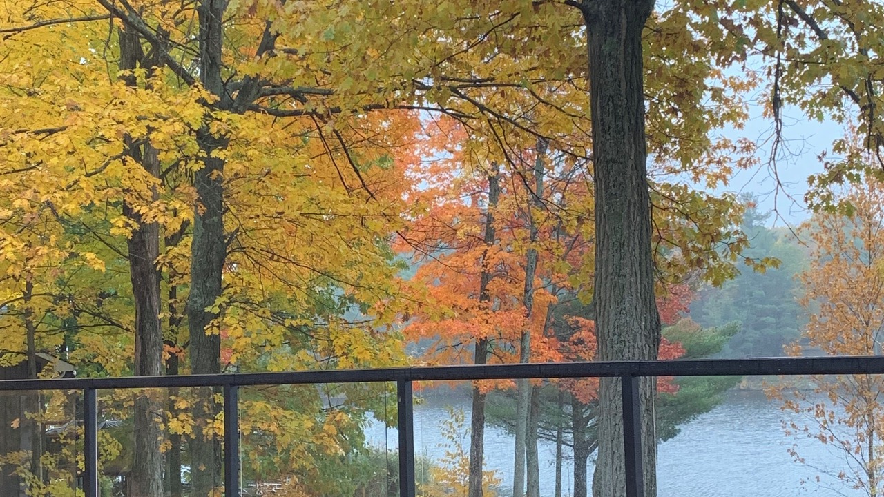 Photo of Outdoor in Severn
