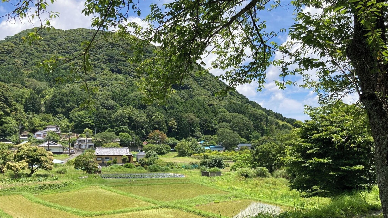 Photo of Others in Minamiizu