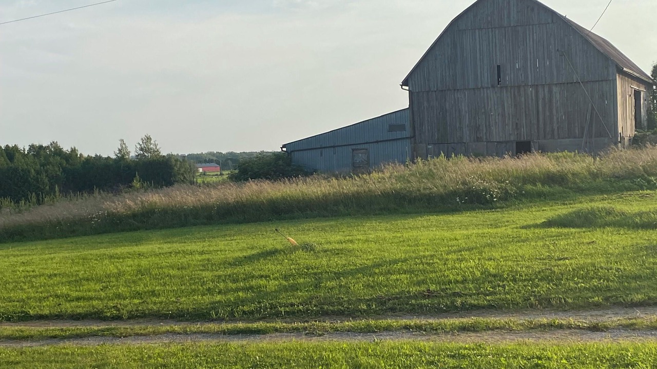 Photo of Outdoor in Brock