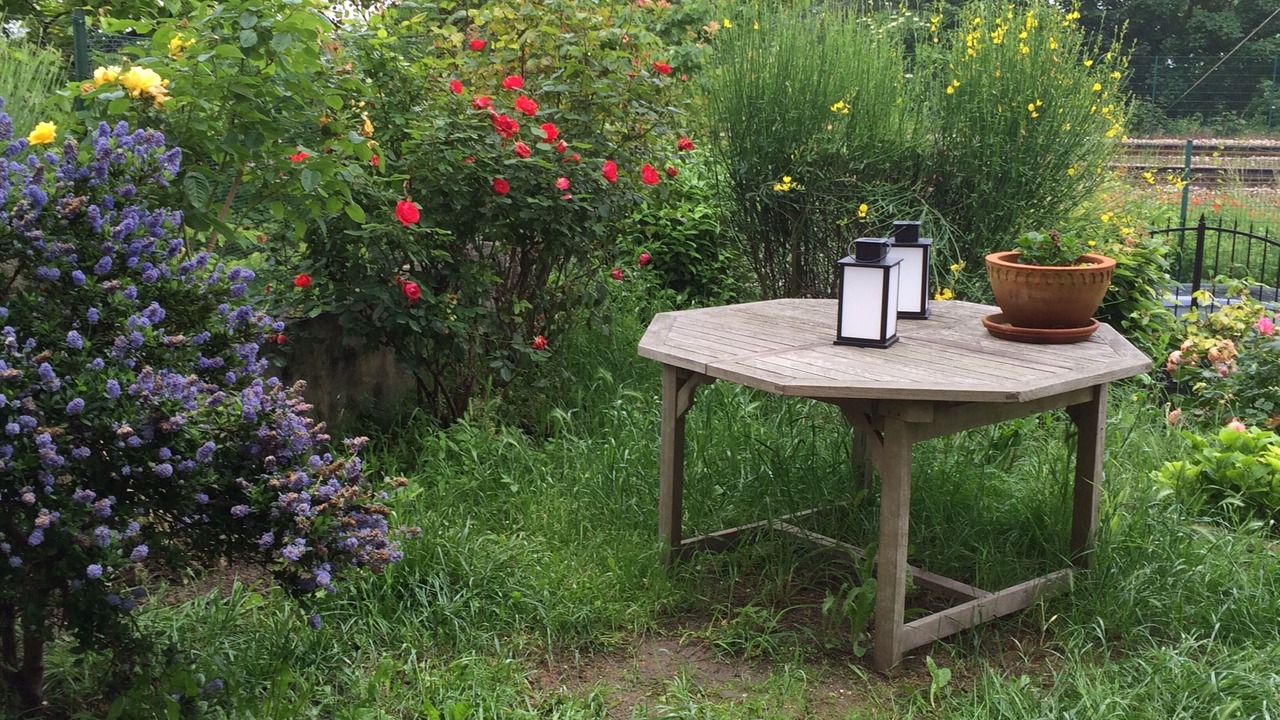 Photo of Outdoor in Suresnes