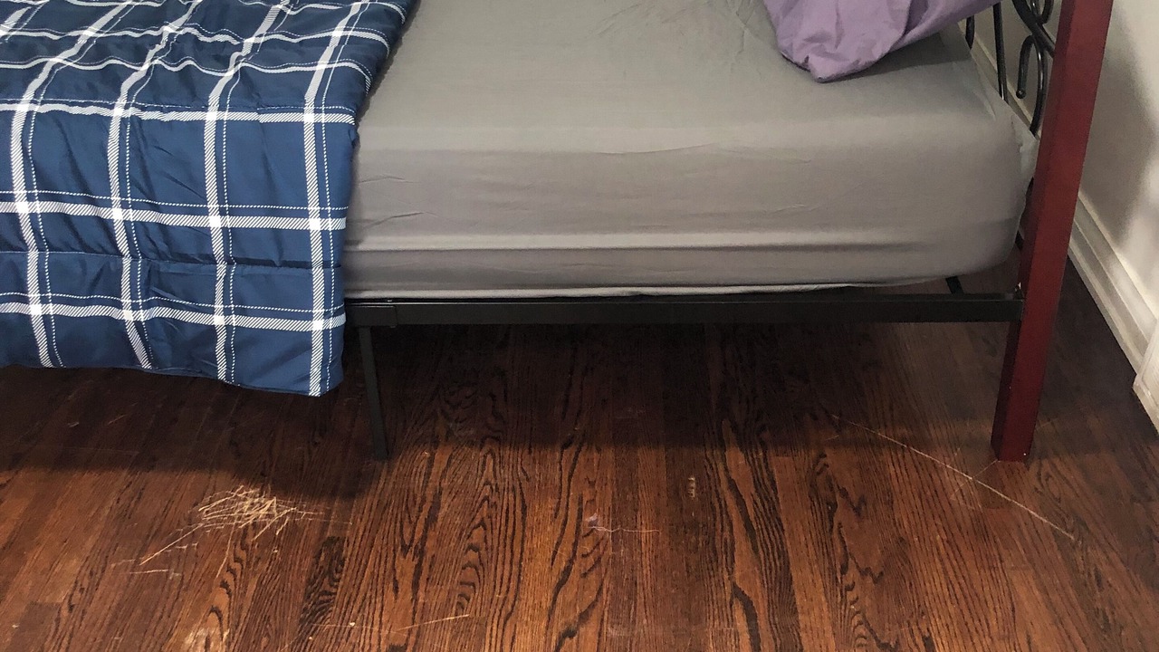 Photo of Bedroom in West Hill