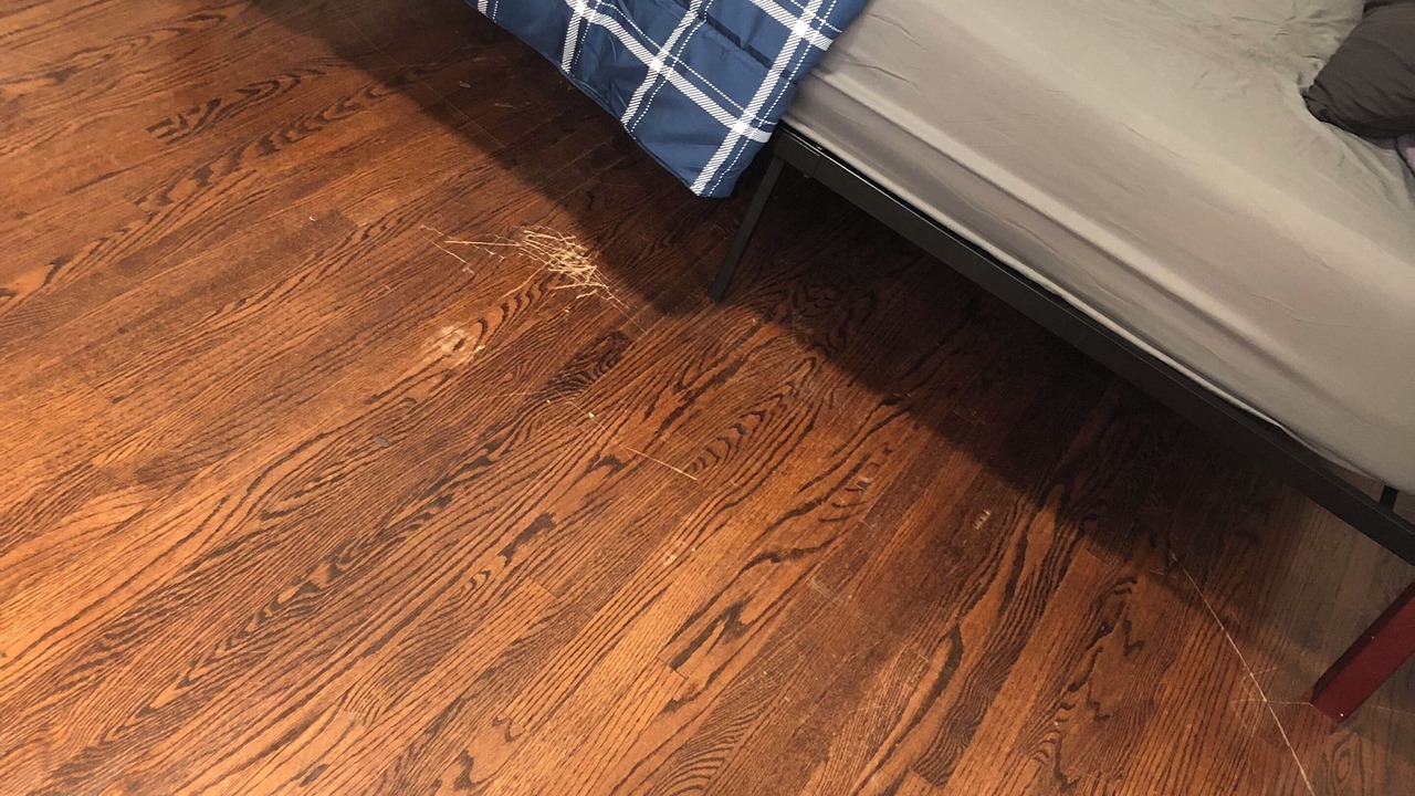 Photo of Bedroom in West Hill