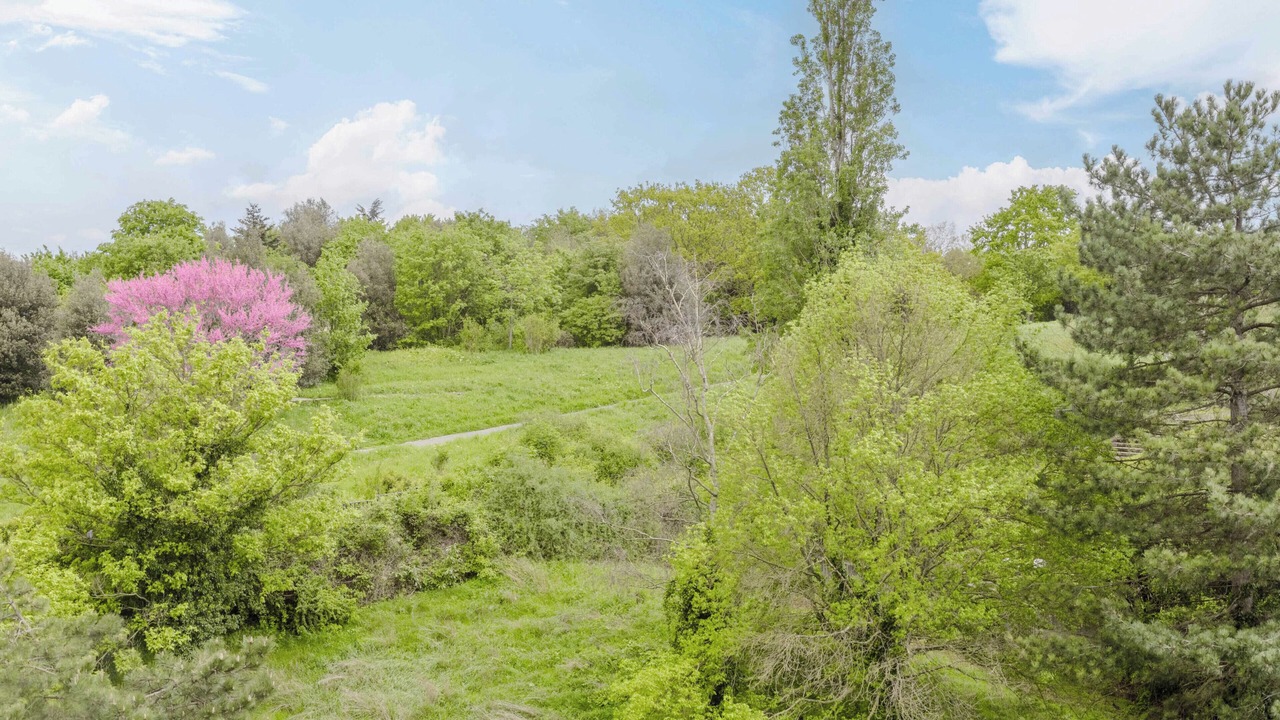 Photo of Outdoor in Bagnolet