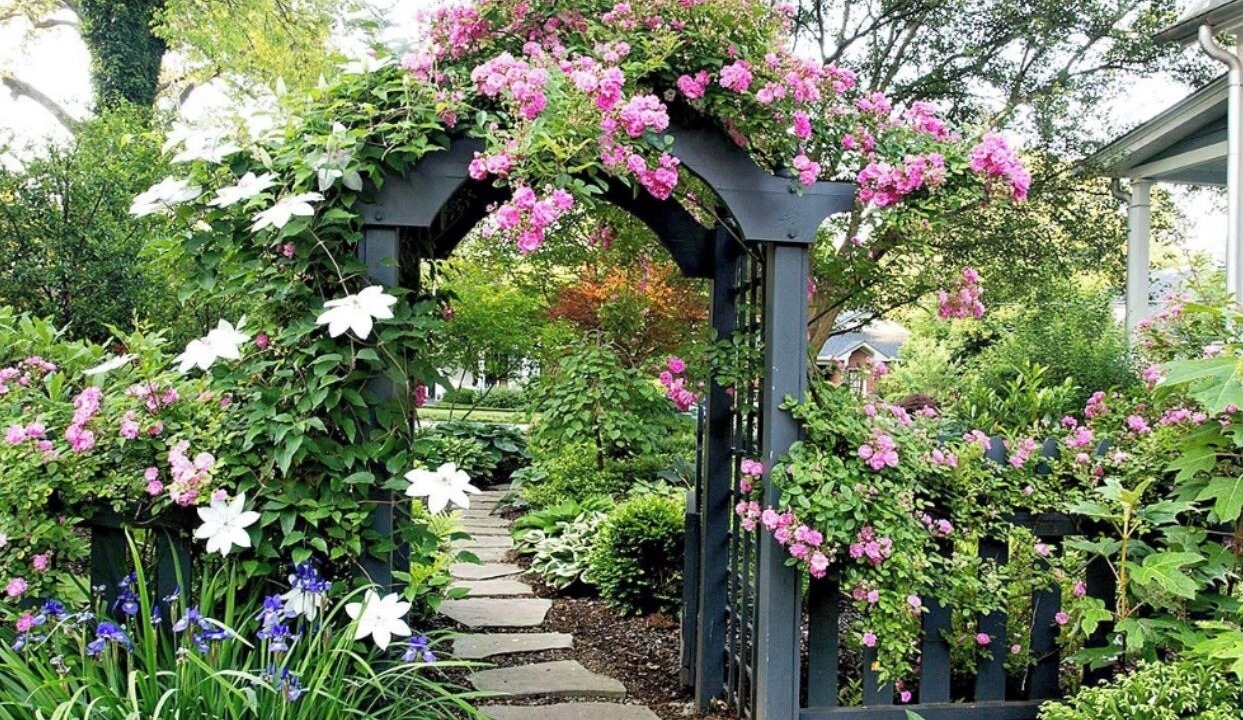 Photo of Outdoor in Brampton