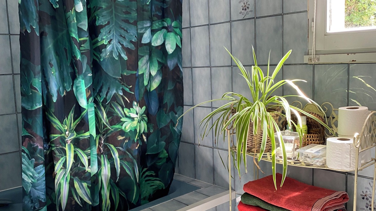 Photo of Bathroom in Chessy