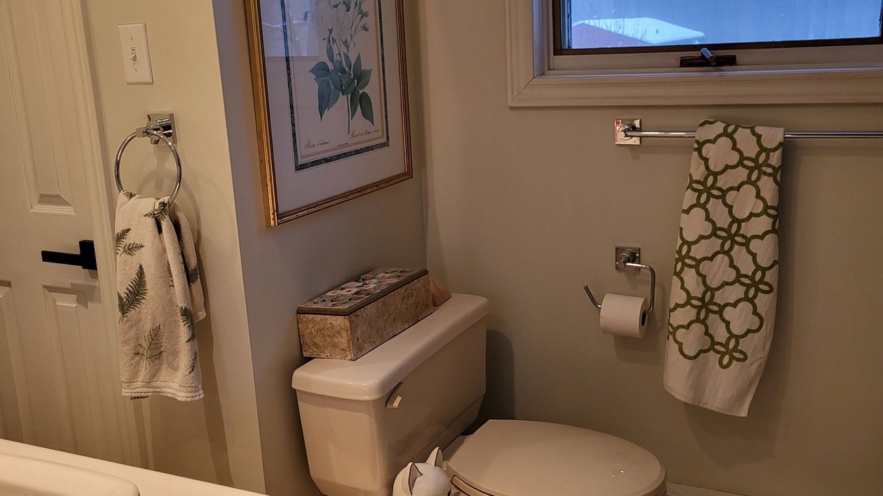 Photo of Bathroom in Halton Hills