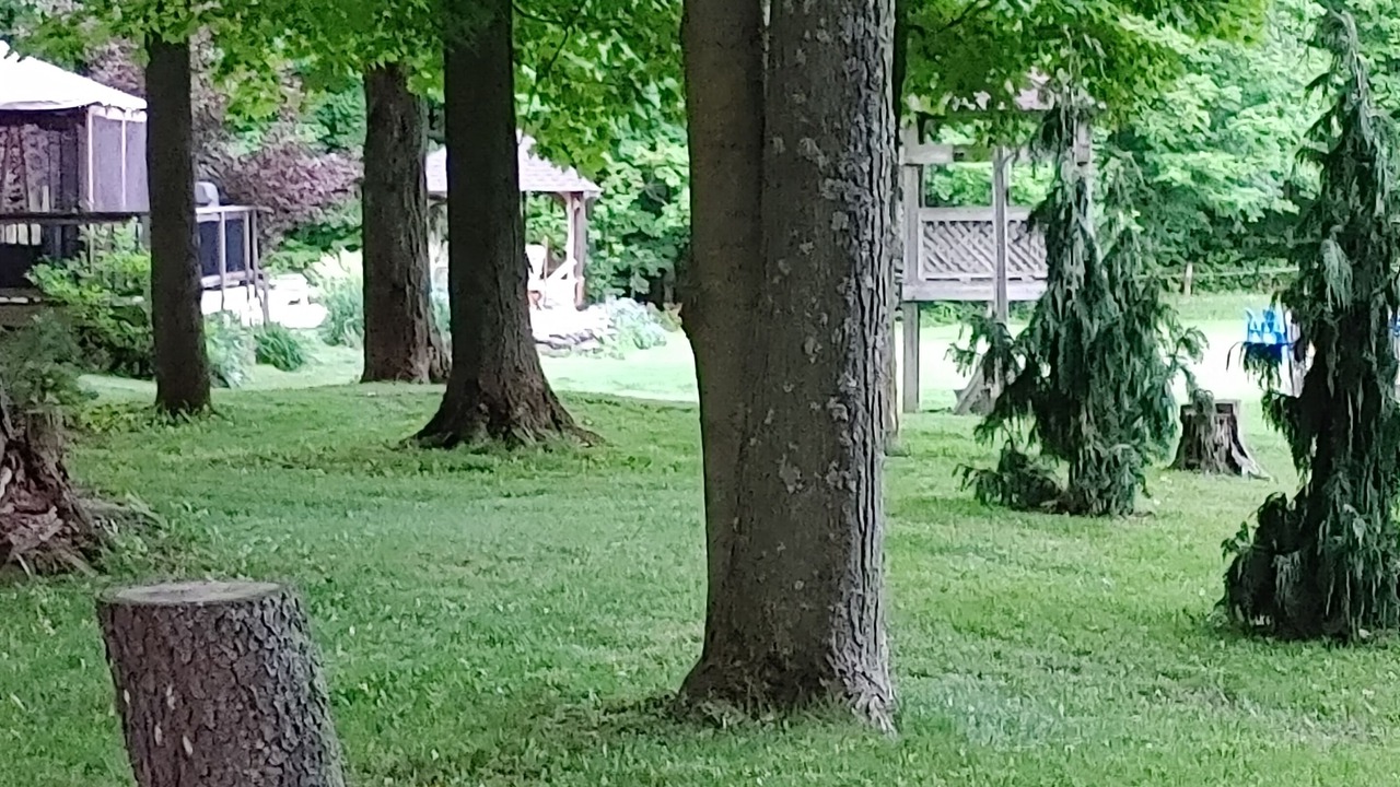 Photo of Outdoor in Halton Hills