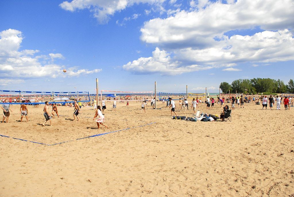 Photo of Others in Upper Beaches