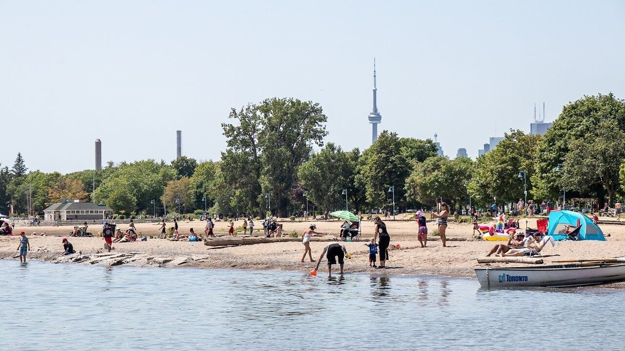 Photo of Others in Upper Beaches