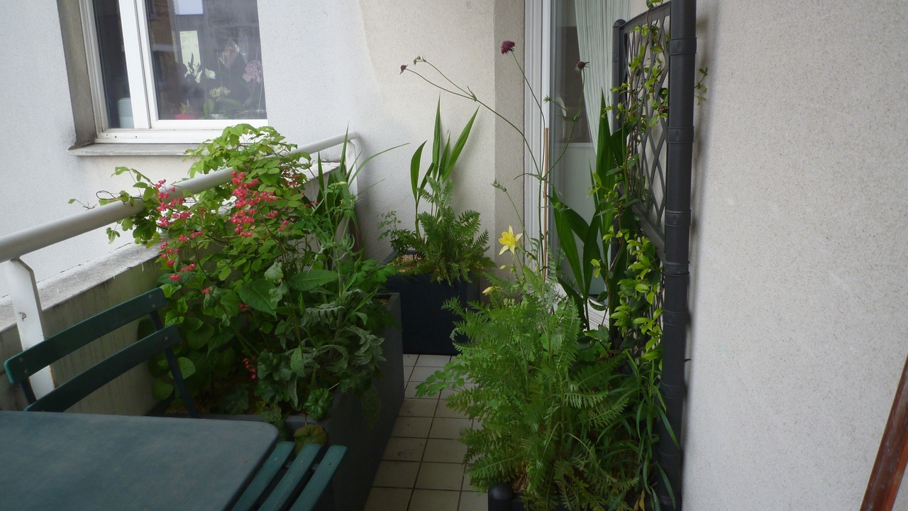 Photo of Patio Balcony in Les Fougeres