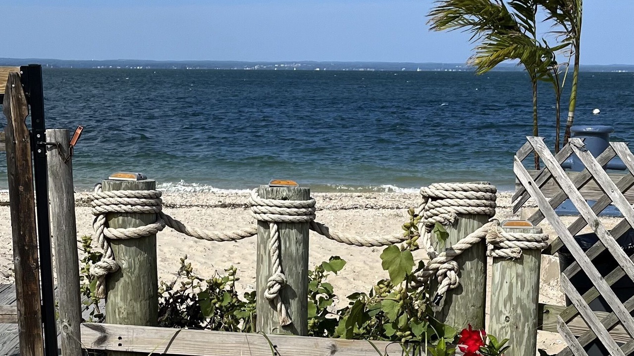 Photo of Others in Bayville