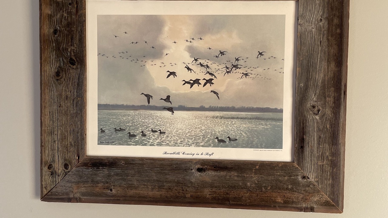 Photo of Others in Georgian Bluffs
