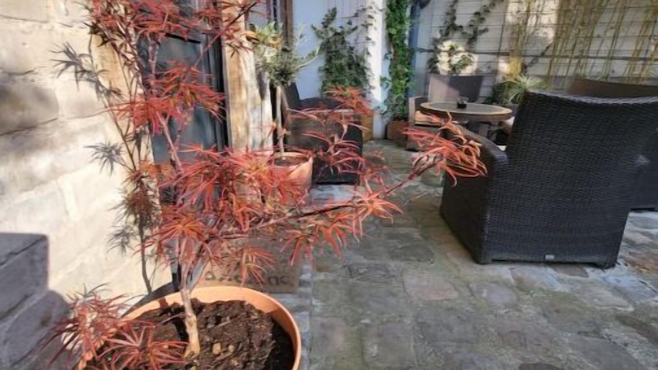 Photo of Patio Balcony in Clichy