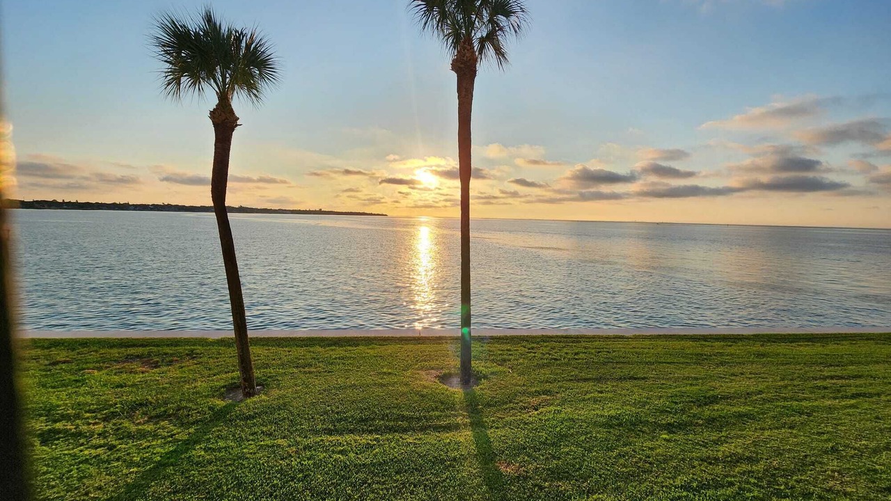 Photo of Others in Pinellas Point