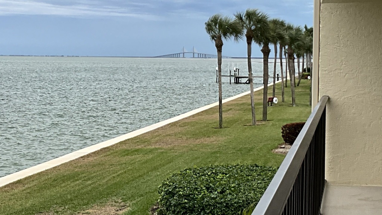 Photo of Outdoor in Pinellas Point
