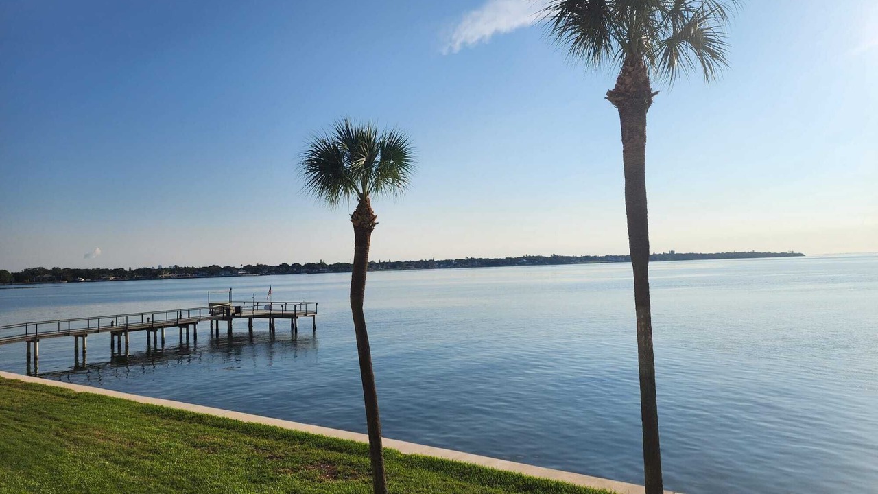 Photo of Others in Pinellas Point