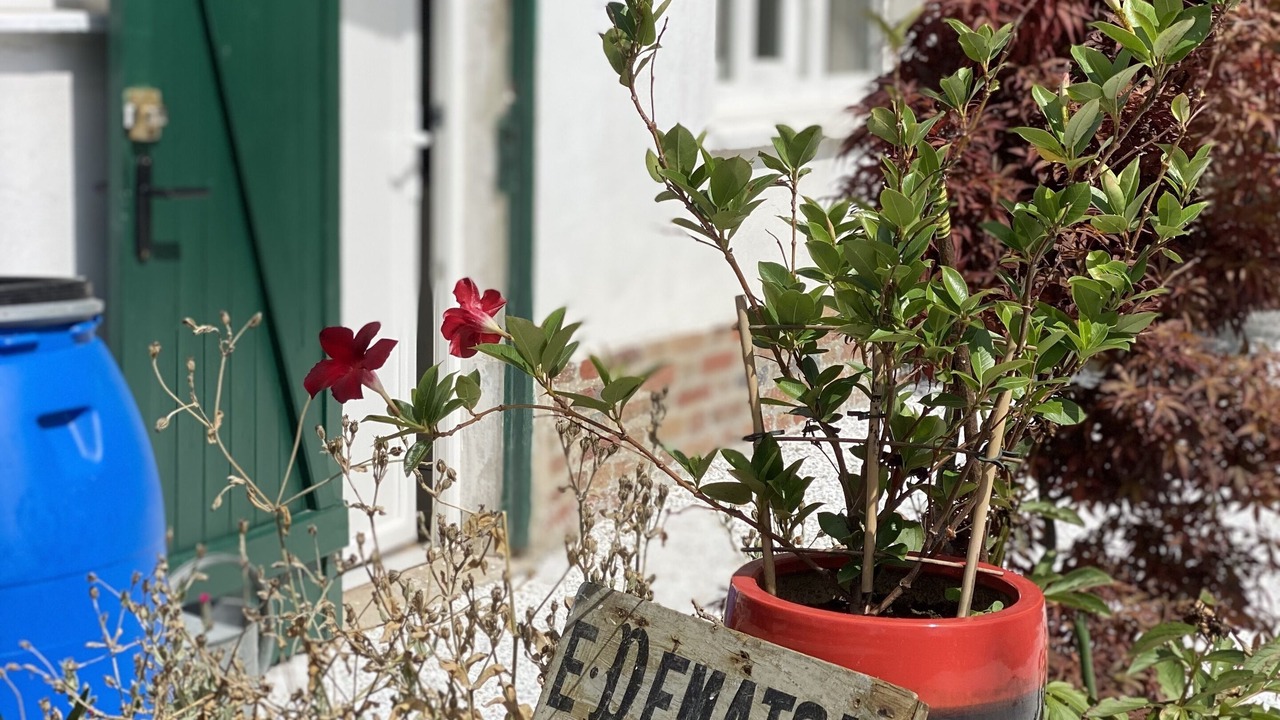 Photo of Outdoor in Vaires-sur-Marne
