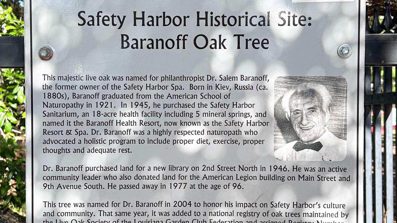 Photo of Others in Safety Harbor
