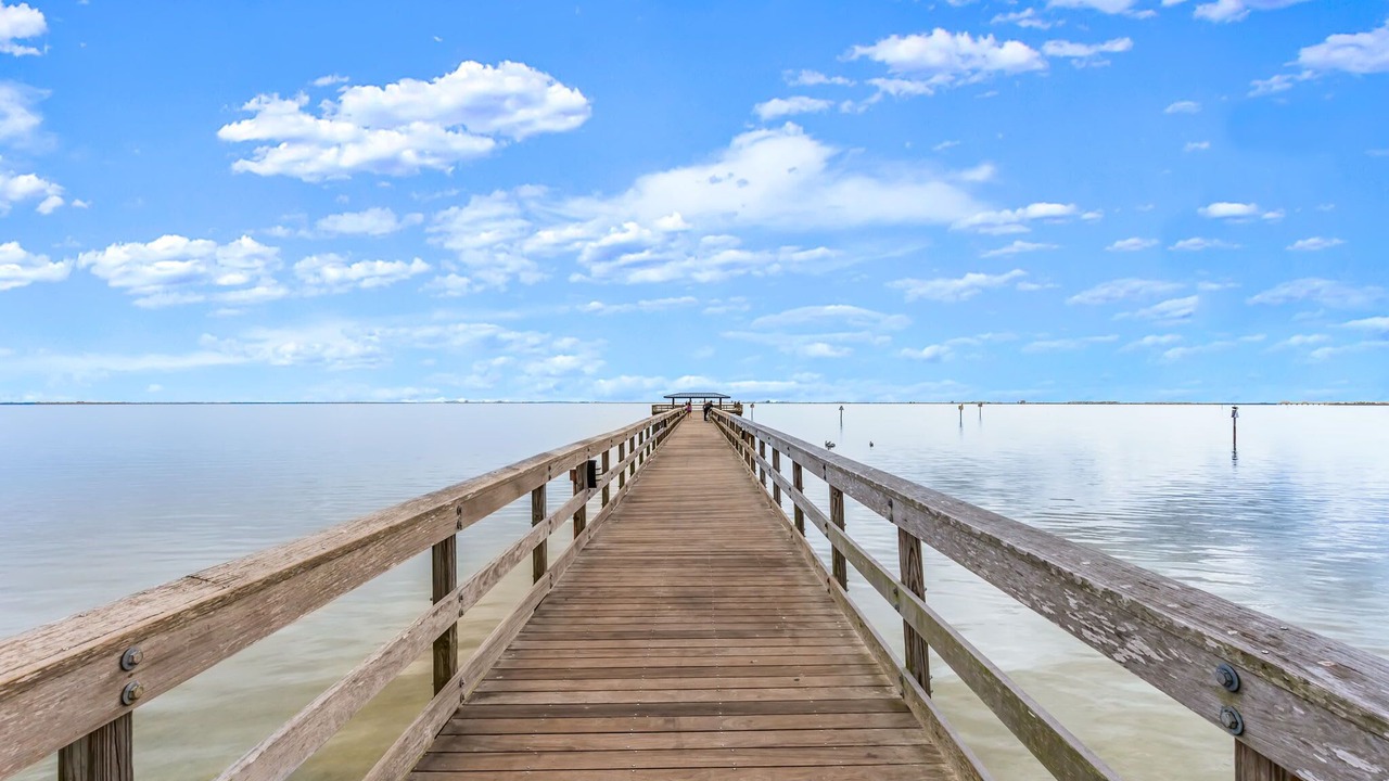 Photo of Others in Safety Harbor