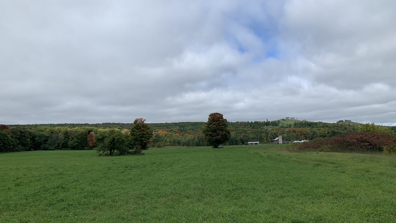 Photo of Others in Oro-Medonte