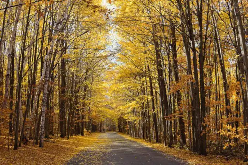 Photo of Others in Penetanguishene