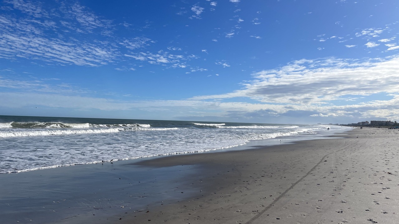 Photo of Others in Cape Caneveral Beach Gardens