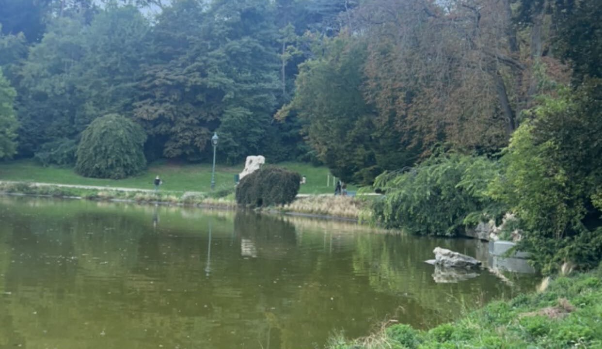 Photo of Others in Parc-de-Montsouris