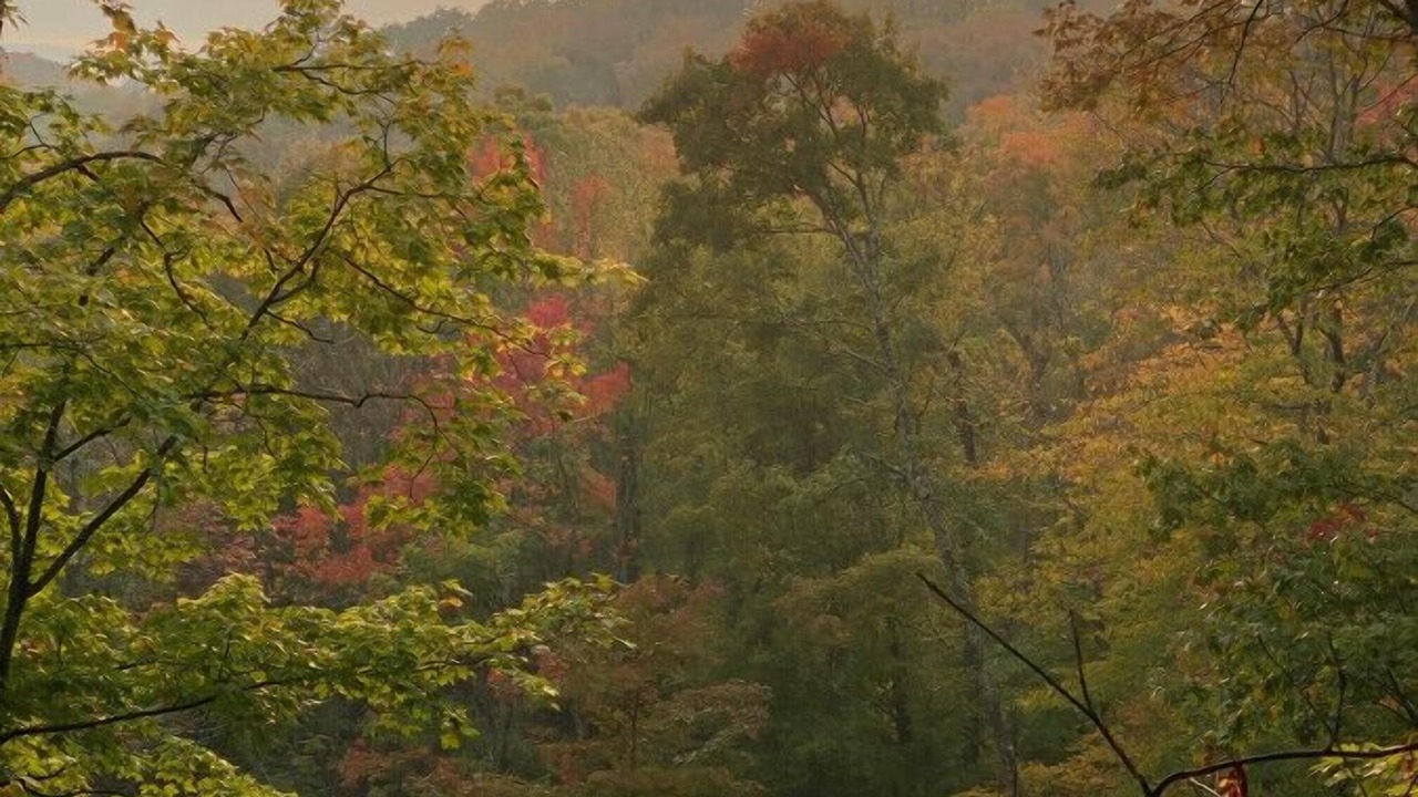Photo of Others in Huntsville
