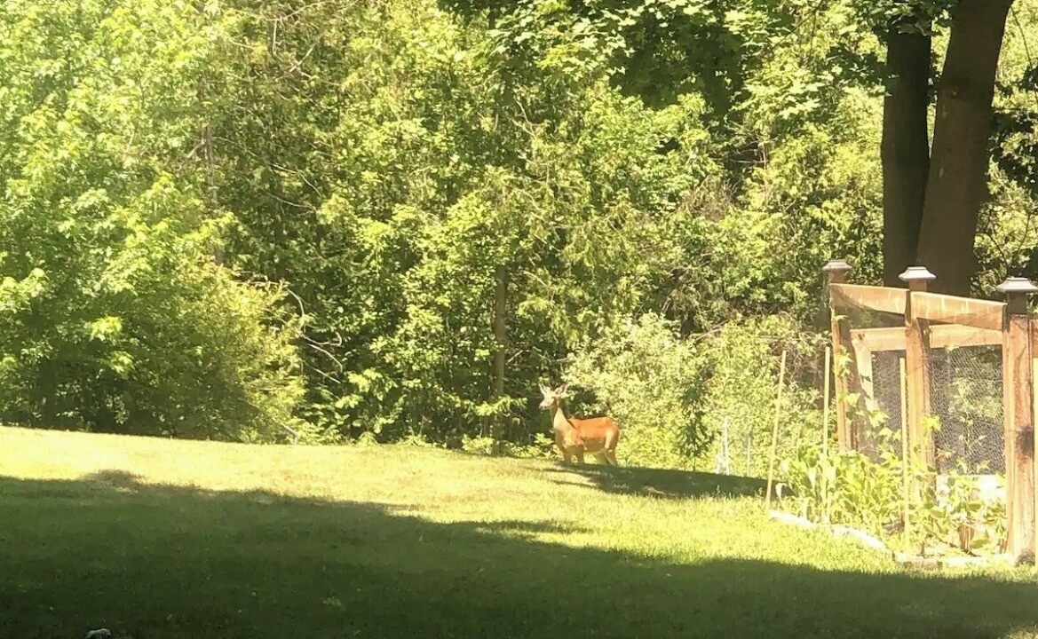 Photo of Outdoor in Alton