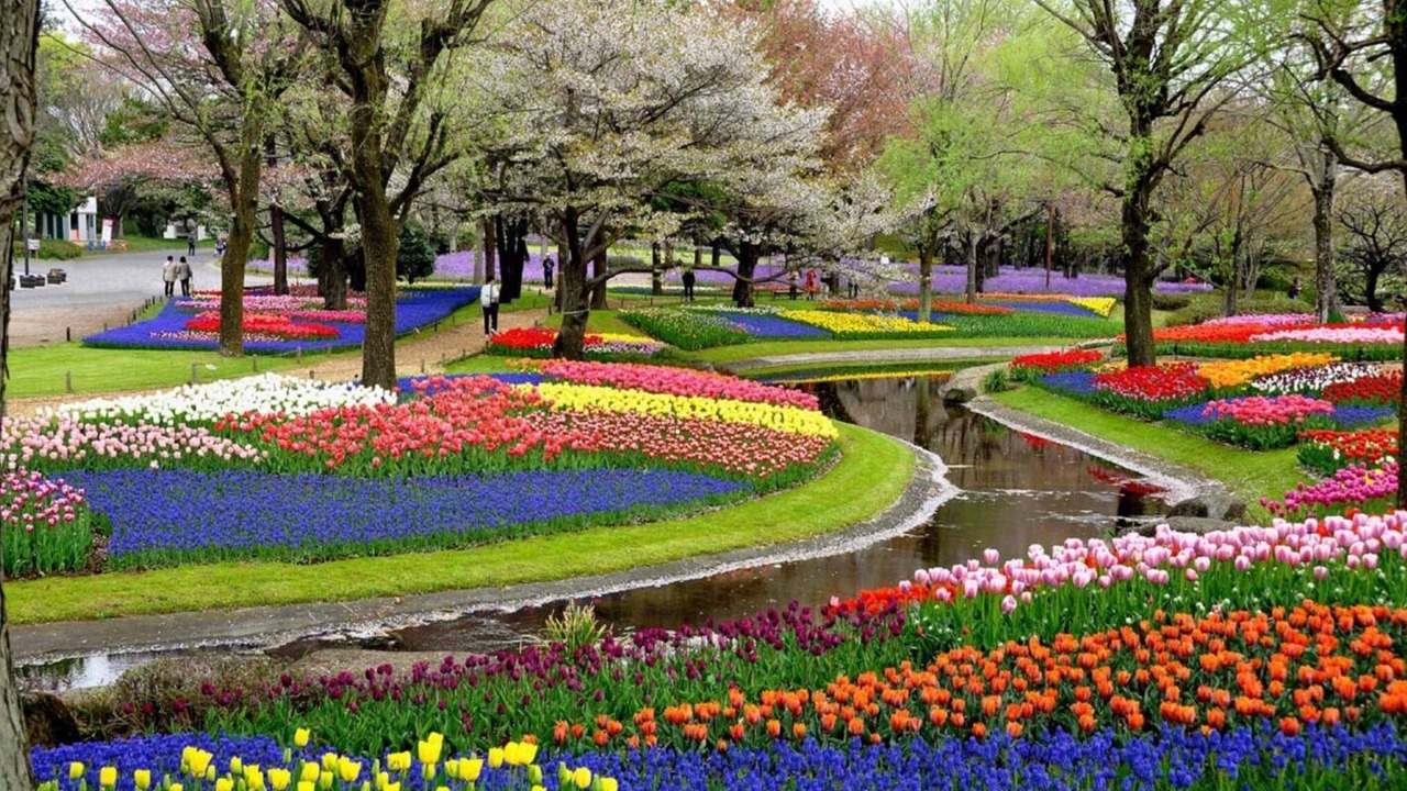 Photo of Outdoor in Hino
