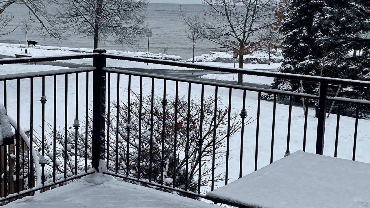 Photo of Outdoor in Bronte