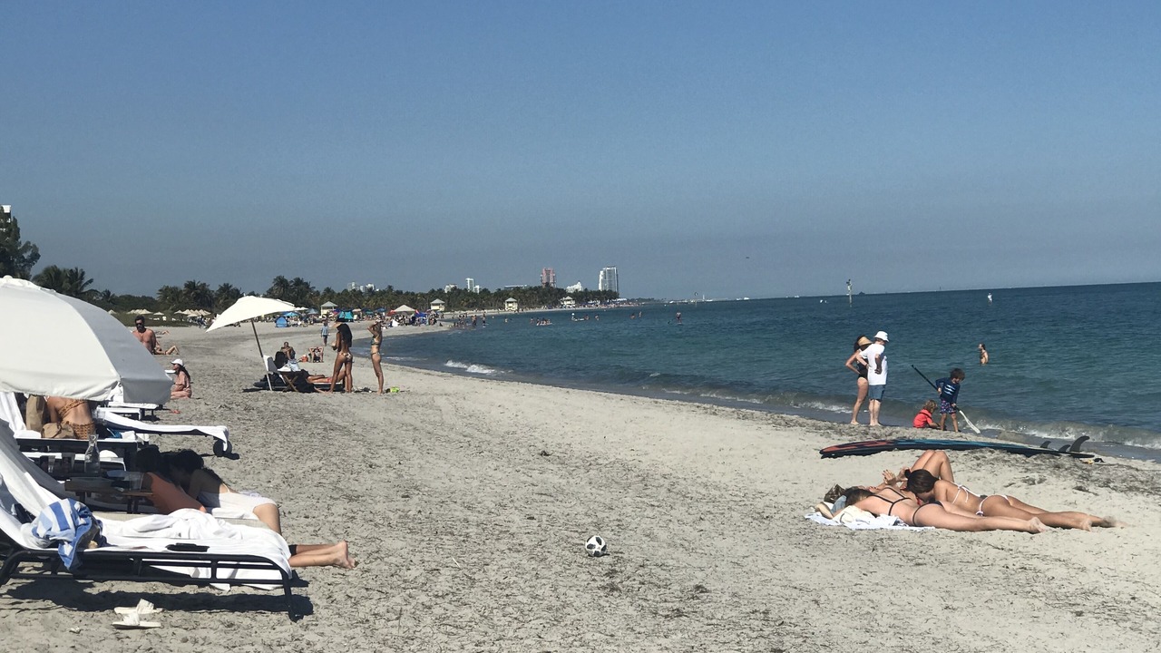 Photo of Others in Key Biscayne