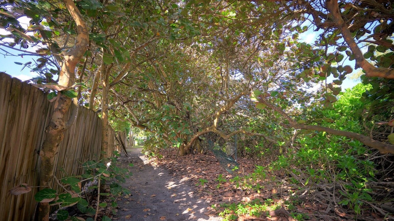 Photo of Outdoor in The Pines