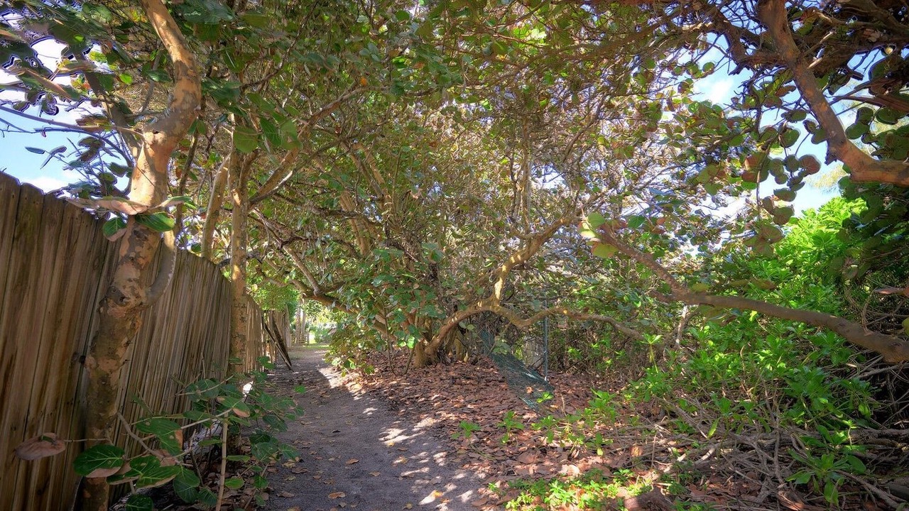 Photo of Outdoor in Melbourne Beach