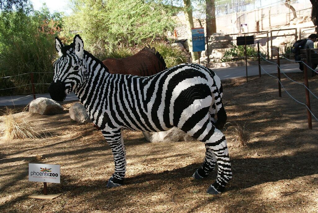 Photo of Others in Phoenix