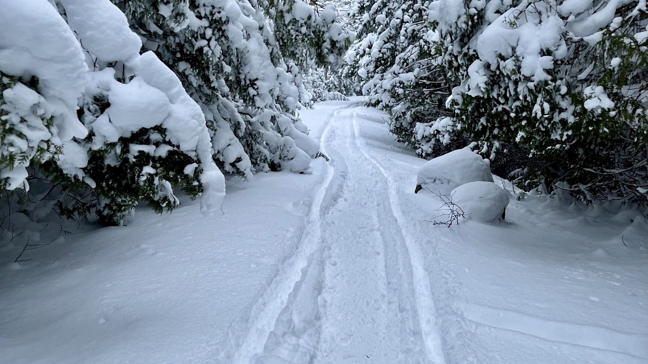 Photo of Outdoor in Meaford