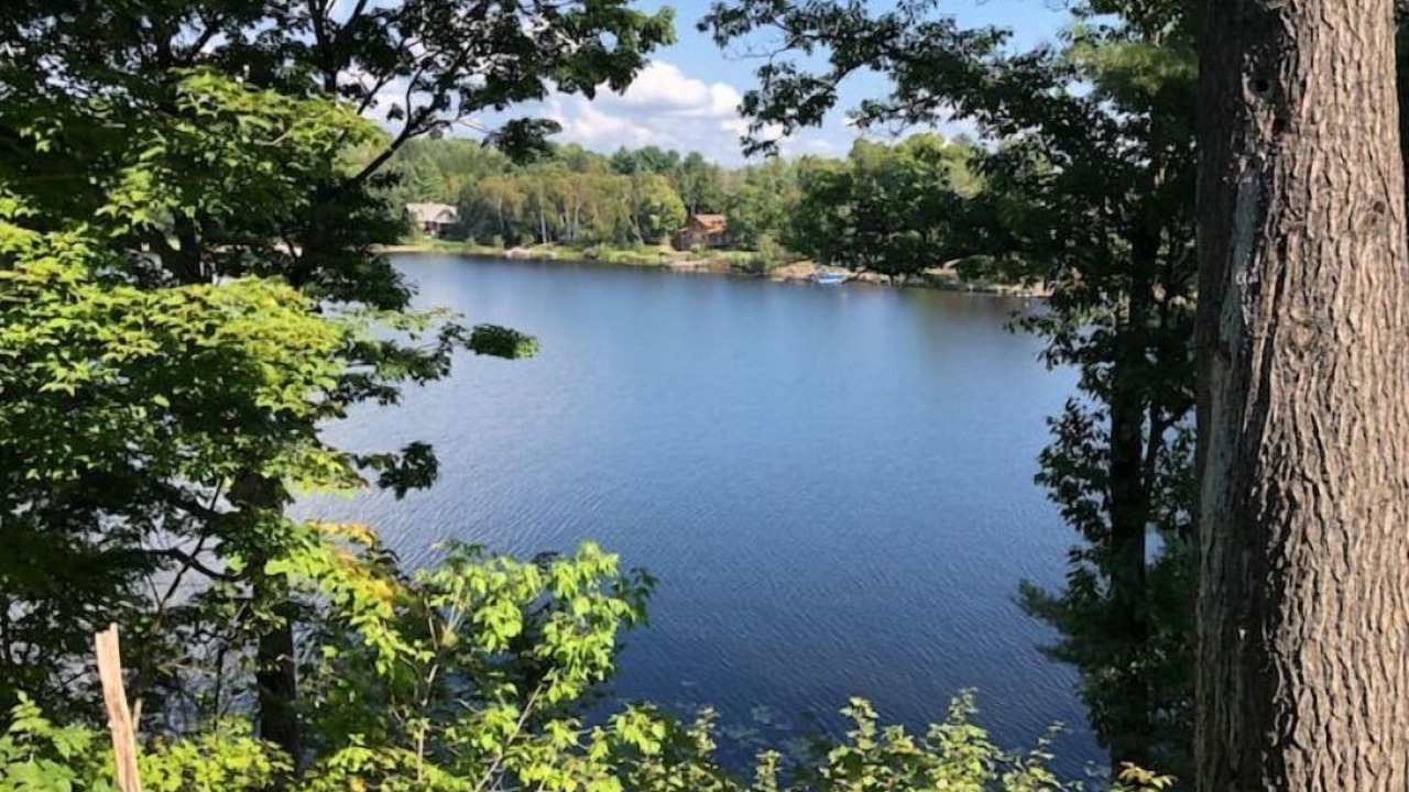 Photo of Outdoor in Huntsville