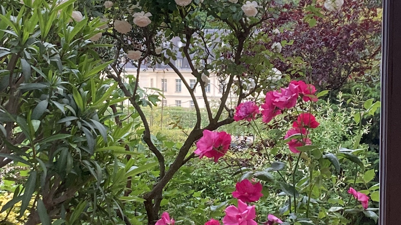 Photo of Outdoor in Sevres