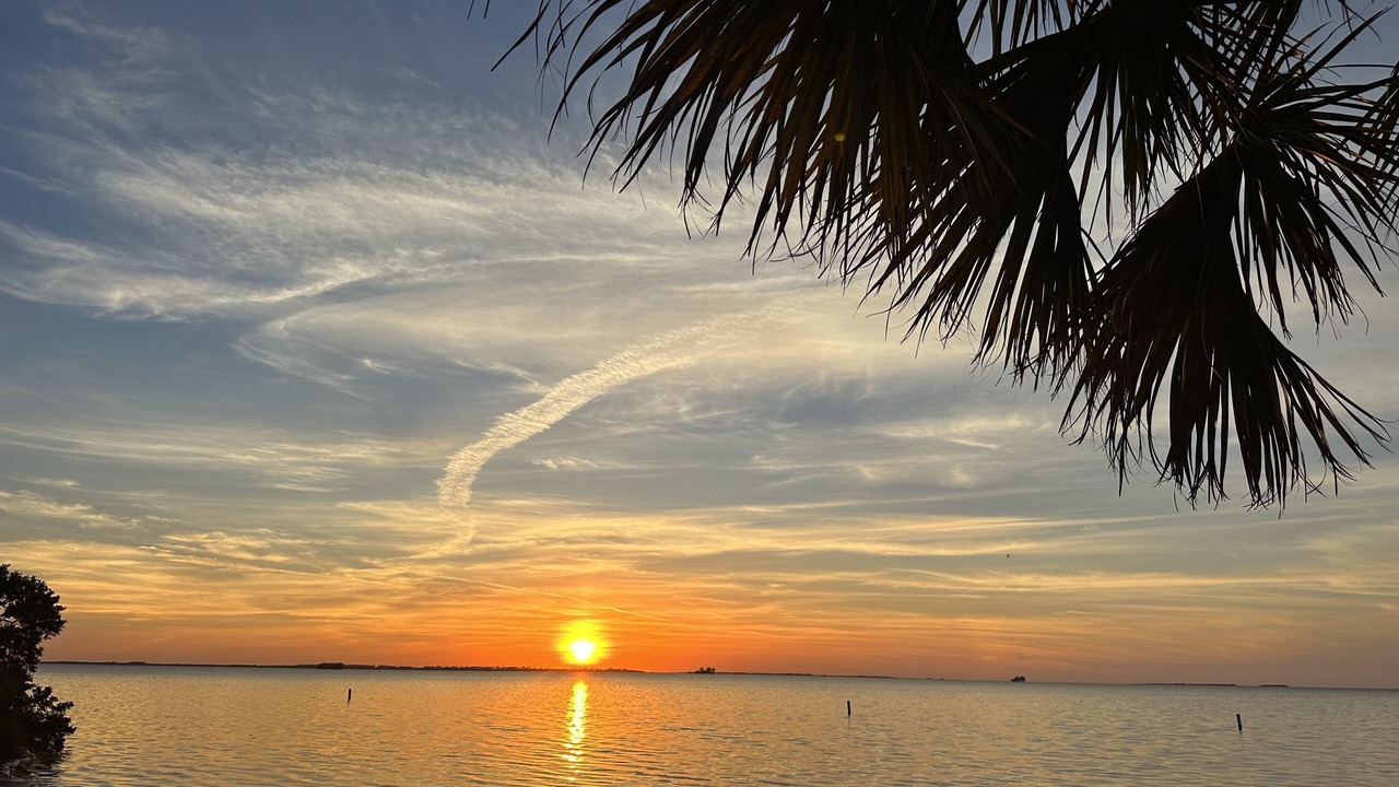 Photo of Others in Crystal Beach