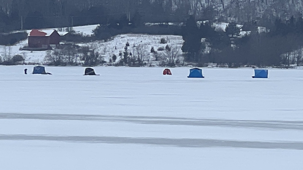 Photo of Others in Greater Napanee