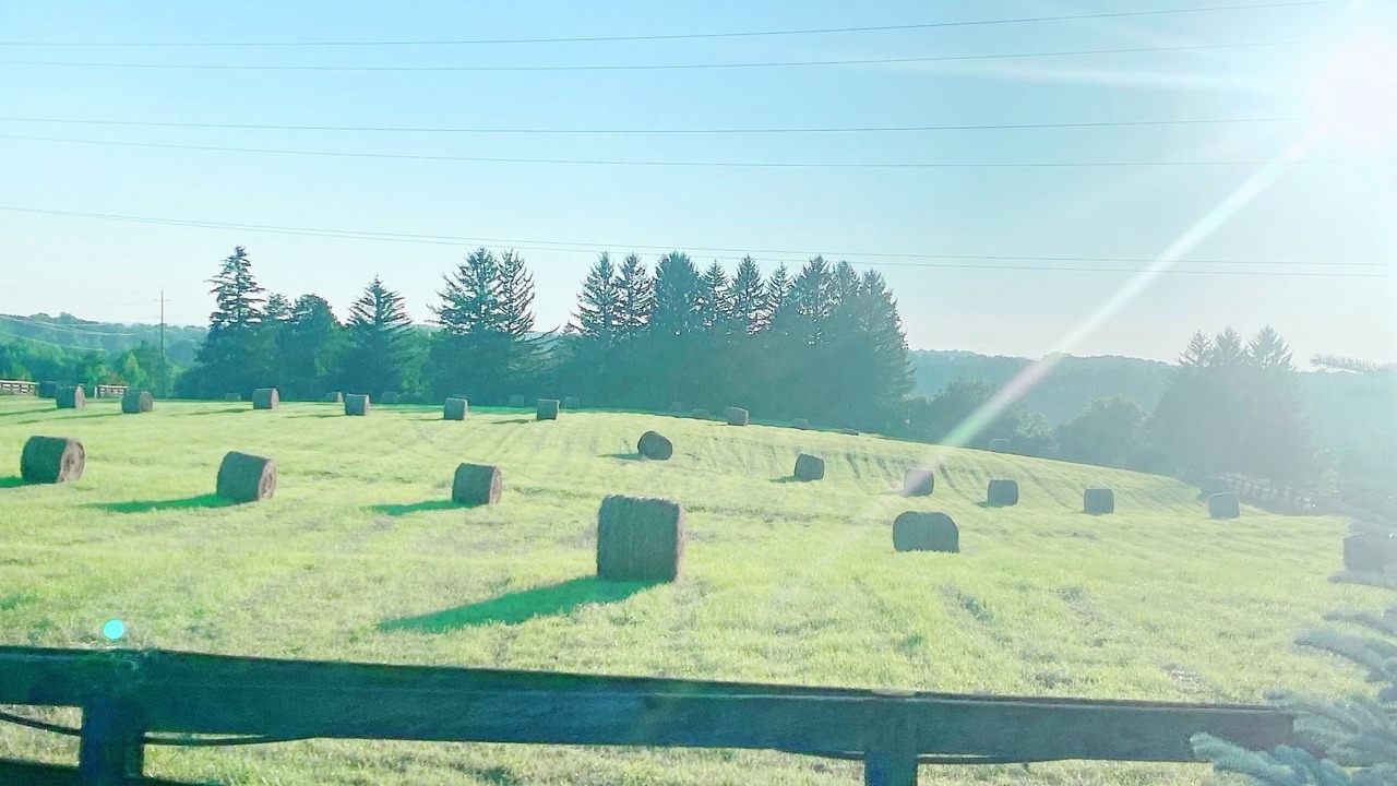 Photo of Outdoor in King