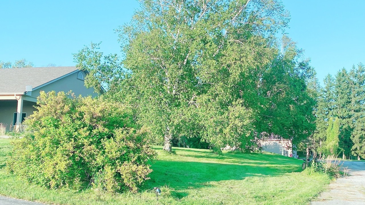 Photo of Outdoor in King