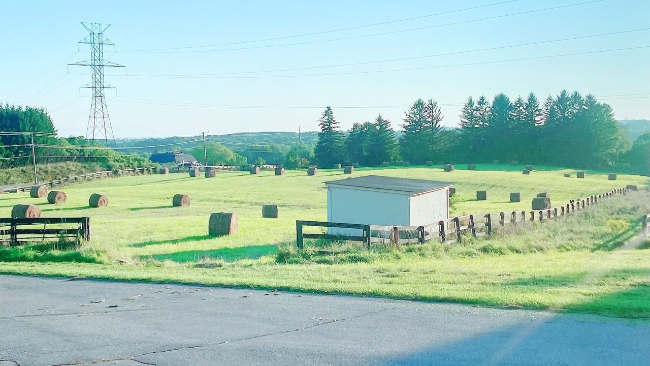 Photo of Outdoor in King