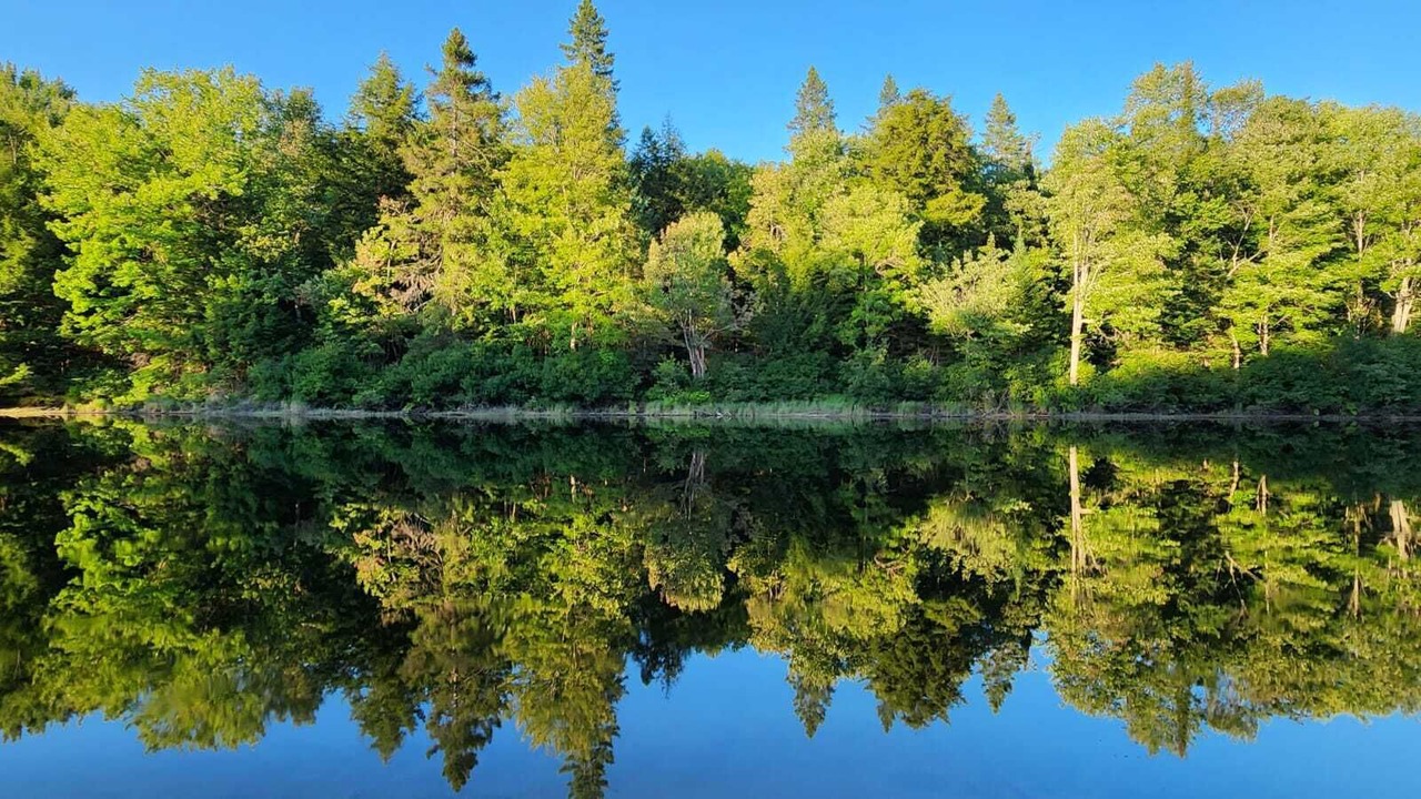 Photo of Others in Bracebridge