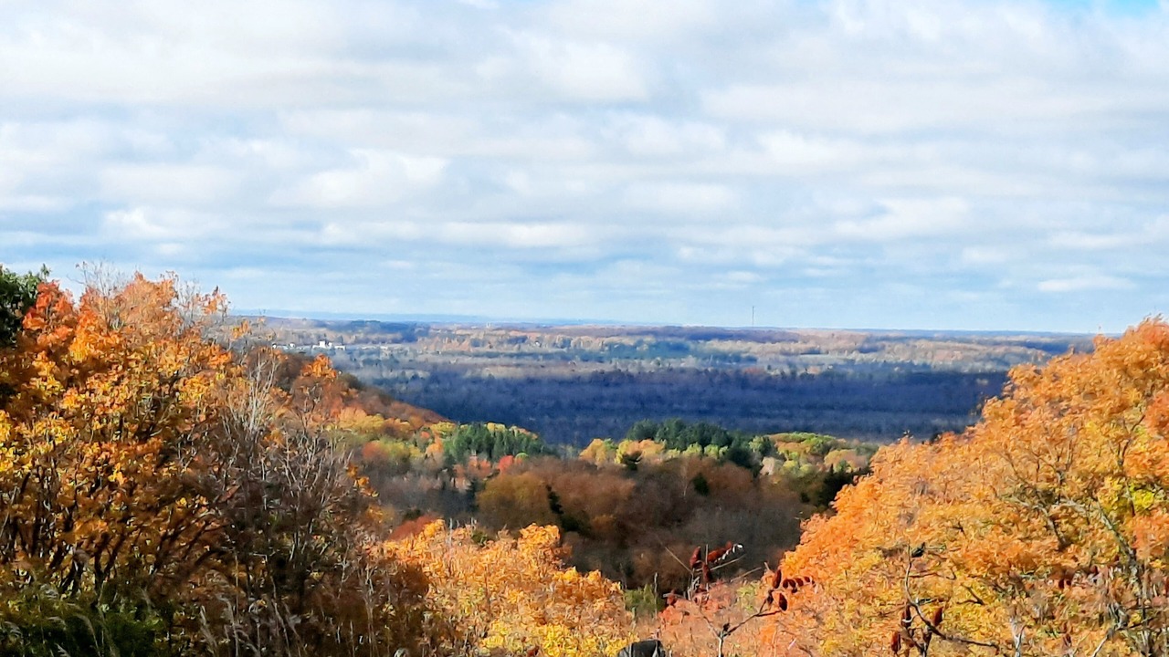 Photo of Outdoor in Oro-Medonte