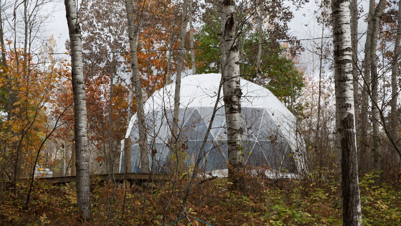 Photo of Others in South Algonquin