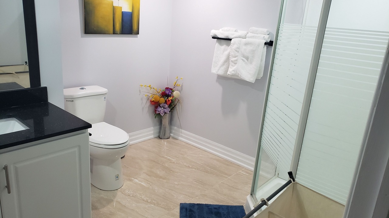 Photo of Bathroom in Brampton